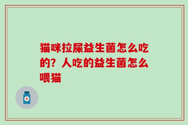 猫咪拉屎益生菌怎么吃的？人吃的益生菌怎么喂猫