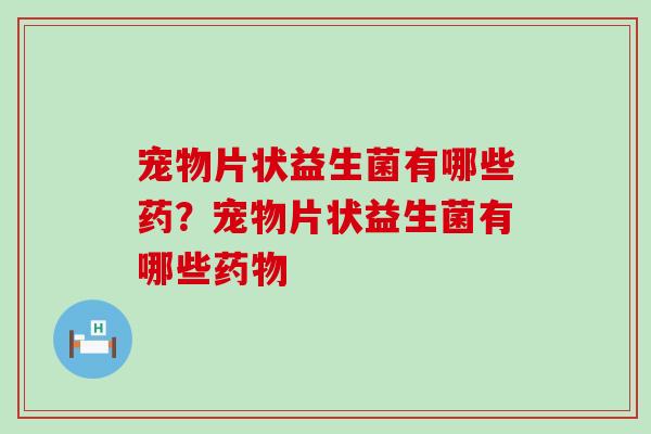 宠物片状益生菌有哪些药？宠物片状益生菌有哪些药物