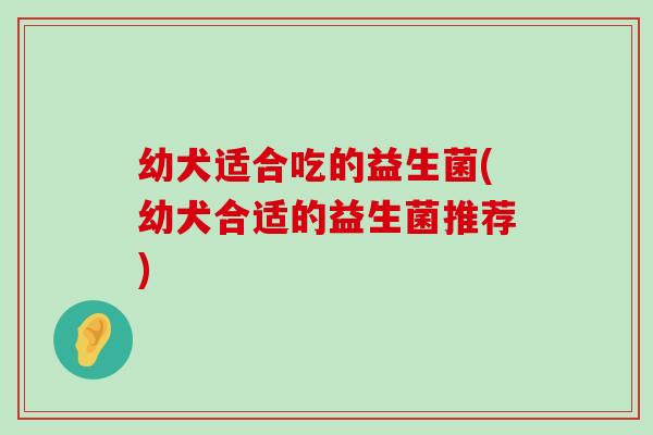 幼犬适合吃的益生菌(幼犬合适的益生菌推荐)