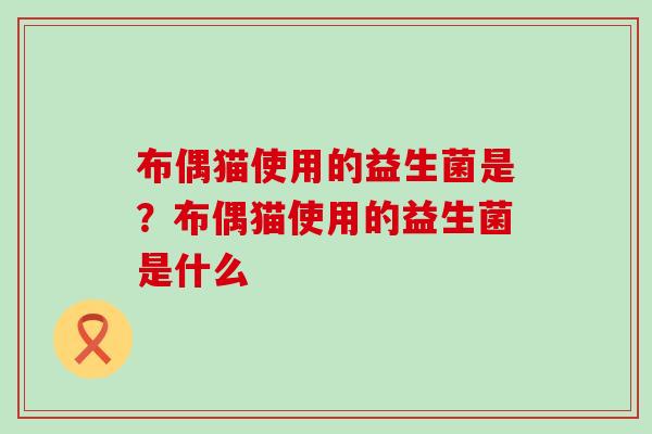 布偶猫使用的益生菌是？布偶猫使用的益生菌是什么
