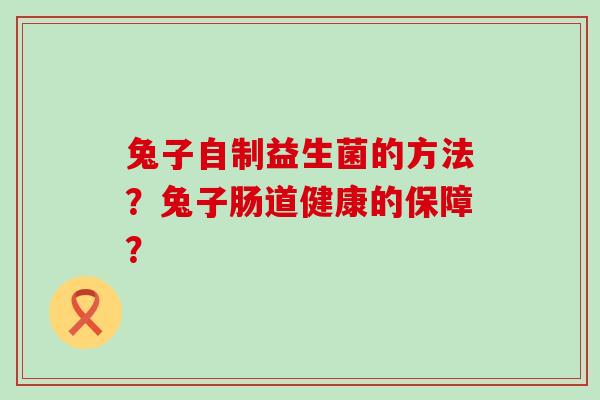 兔子自制益生菌的方法？兔子肠道健康的保障？