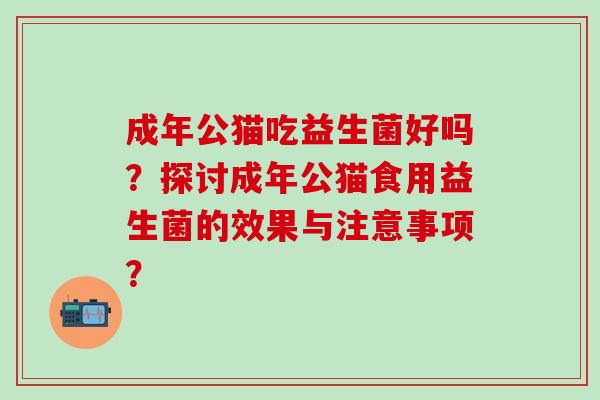 成年公猫吃益生菌好吗？探讨成年公猫食用益生菌的效果与注意事项？