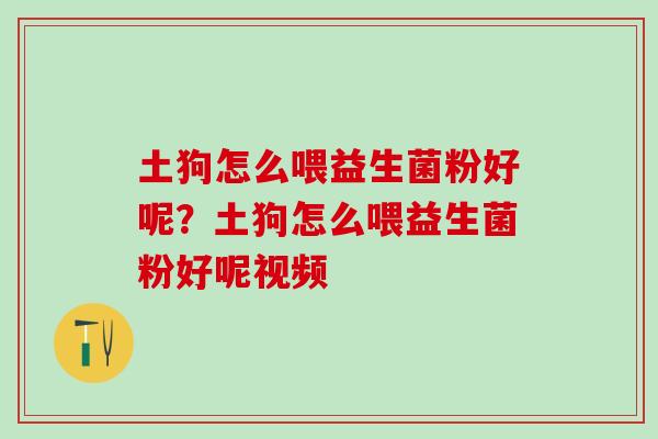 土狗怎么喂益生菌粉好呢？土狗怎么喂益生菌粉好呢视频