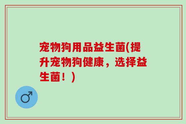 宠物狗用品益生菌(提升宠物狗健康，选择益生菌！)