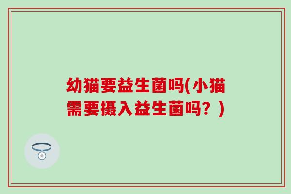 幼猫要益生菌吗(小猫需要摄入益生菌吗？)