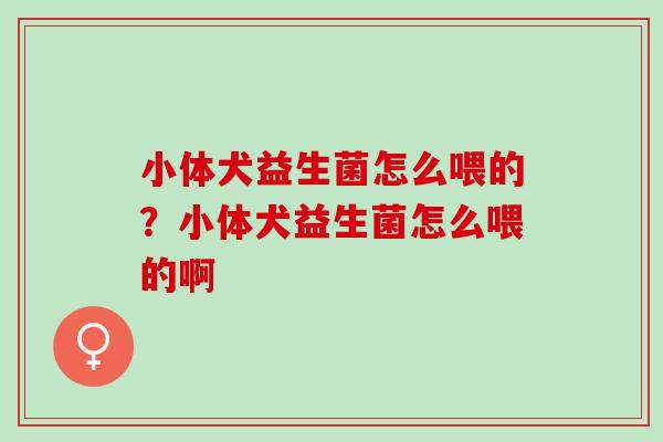 小体犬益生菌怎么喂的？小体犬益生菌怎么喂的啊