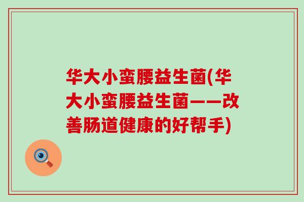 华大小蛮腰益生菌(华大小蛮腰益生菌——改善肠道健康的好帮手)