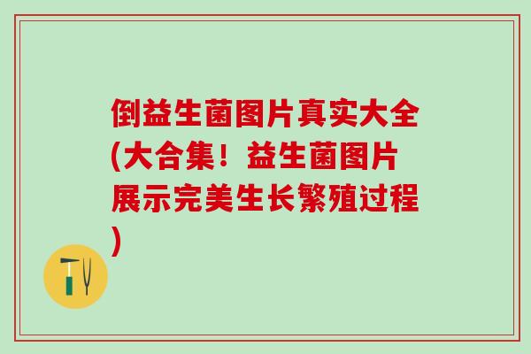 倒益生菌图片真实大全(大合集！益生菌图片展示完美生长繁殖过程)