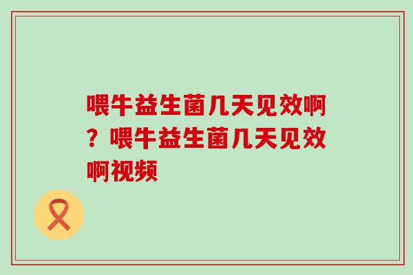 喂牛益生菌几天见效啊?喂牛益生菌几天见效啊视频 喂牛益生菌几天见效啊?喂牛益生菌几天见效啊视频