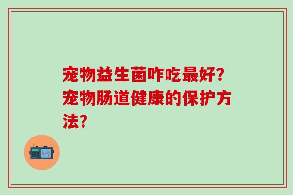 宠物益生菌咋吃最好？宠物肠道健康的保护方法？