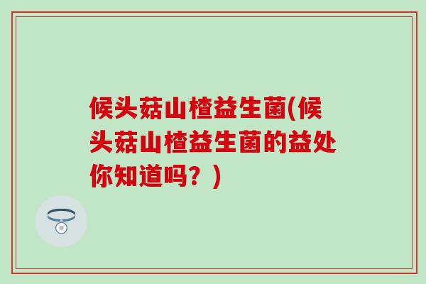 候头菇山楂益生菌(候头菇山楂益生菌的益处你知道吗？)