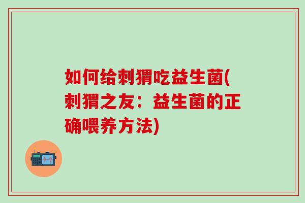 如何给刺猬吃益生菌(刺猬之友：益生菌的正确喂养方法)