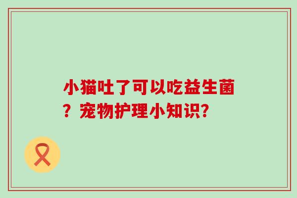 小猫吐了可以吃益生菌？宠物护理小知识？