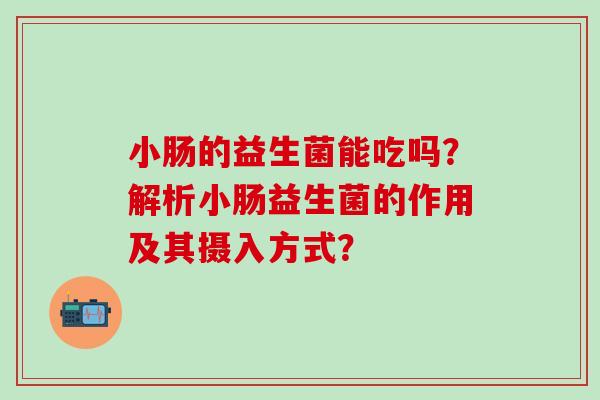 小肠的益生菌能吃吗？解析小肠益生菌的作用及其摄入方式？
