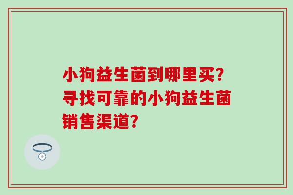小狗益生菌到哪里买？寻找可靠的小狗益生菌销售渠道？