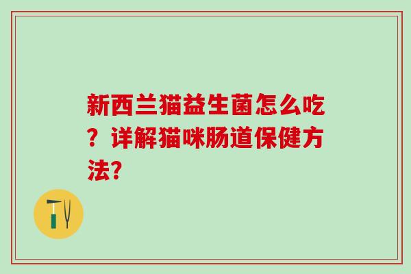 新西兰猫益生菌怎么吃？详解猫咪肠道保健方法？