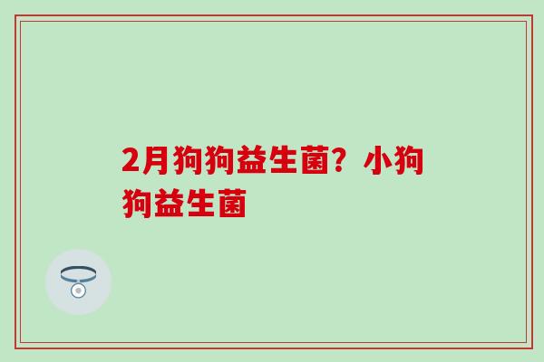2月狗狗益生菌?小狗狗益生菌 2月狗狗益生菌?小狗狗益生菌