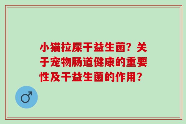 小猫拉屎干益生菌？关于宠物肠道健康的重要性及干益生菌的作用？