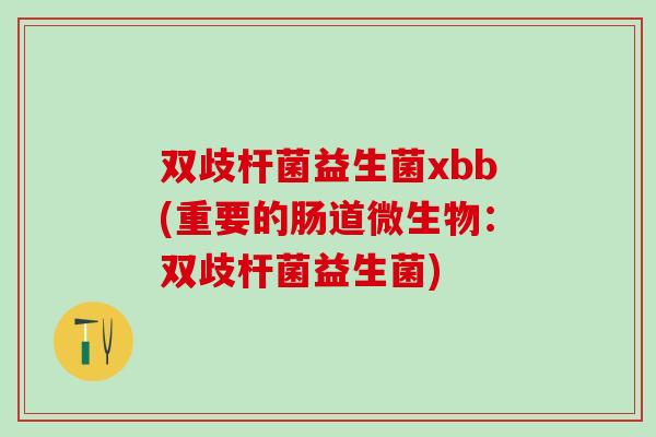 双歧杆菌益生菌xbb(重要的肠道微生物：双歧杆菌益生菌)