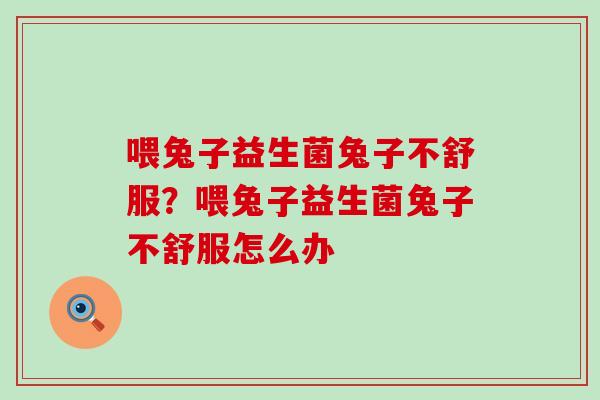 喂兔子益生菌兔子不舒服？喂兔子益生菌兔子不舒服怎么办