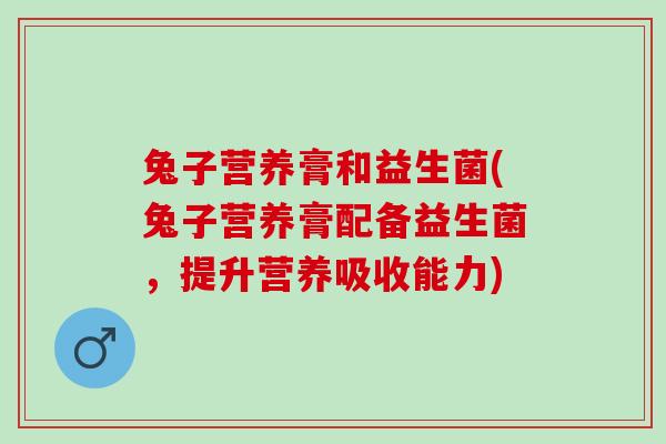 兔子营养膏和益生菌(兔子营养膏配备益生菌，提升营养吸收能力)