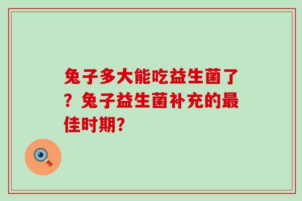 兔子多大能吃益生菌了？兔子益生菌补充的最佳时期？