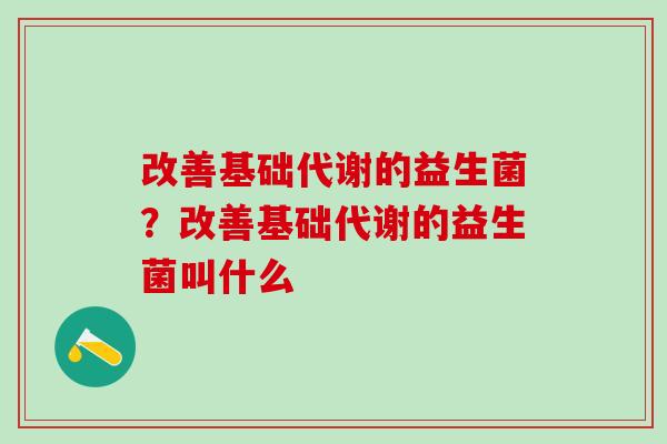 改善基础代谢的益生菌？改善基础代谢的益生菌叫什么