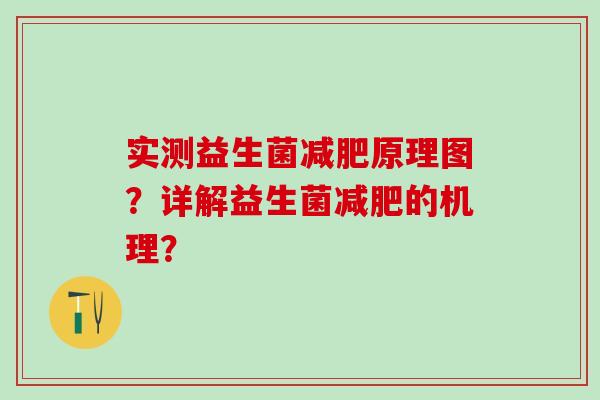 实测益生菌减肥原理图？详解益生菌减肥的机理？