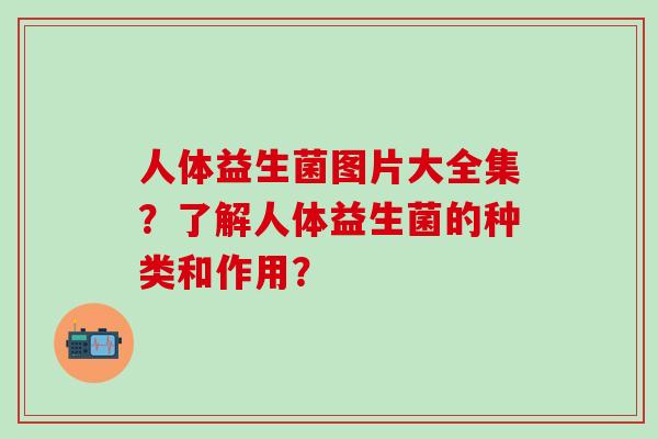人体益生菌图片大全集？了解人体益生菌的种类和作用？