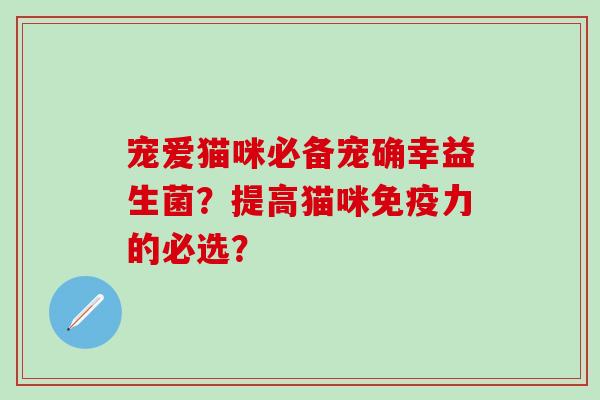 宠爱猫咪必备宠确幸益生菌？提高猫咪免疫力的必选？