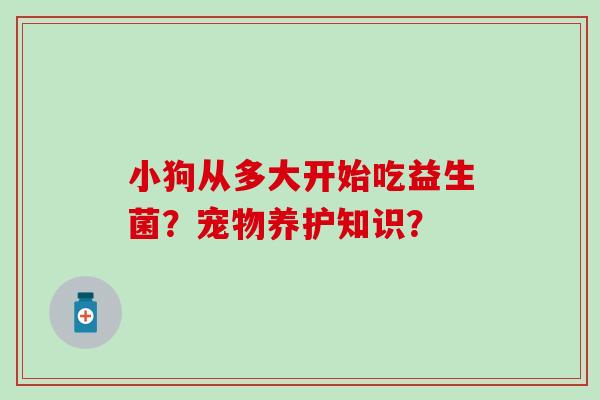 小狗从多大开始吃益生菌?宠物养护知识? 小狗从多大开始吃益生菌?宠物养护知识?