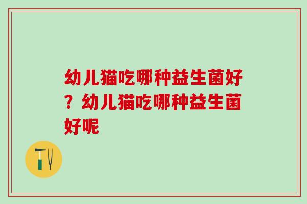 幼儿猫吃哪种益生菌好？幼儿猫吃哪种益生菌好呢