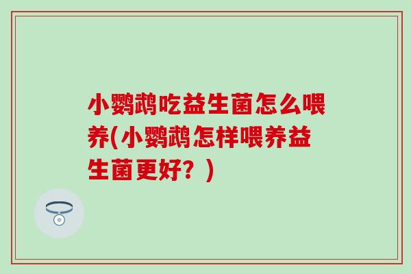 小鹦鹉吃益生菌怎么喂养(小鹦鹉怎样喂养益生菌更好？)