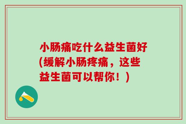 小肠痛吃什么益生菌好(缓解小肠，这些益生菌可以帮你！)