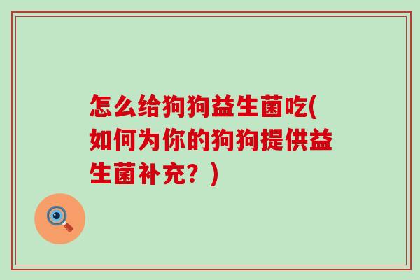怎么给狗狗益生菌吃(如何为你的狗狗提供益生菌补充？)