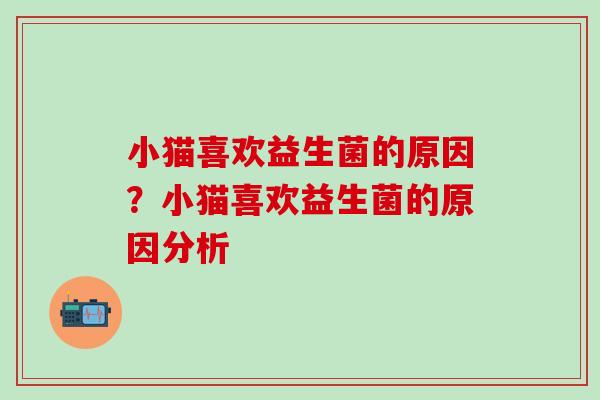 小猫喜欢益生菌的原因？小猫喜欢益生菌的原因分析