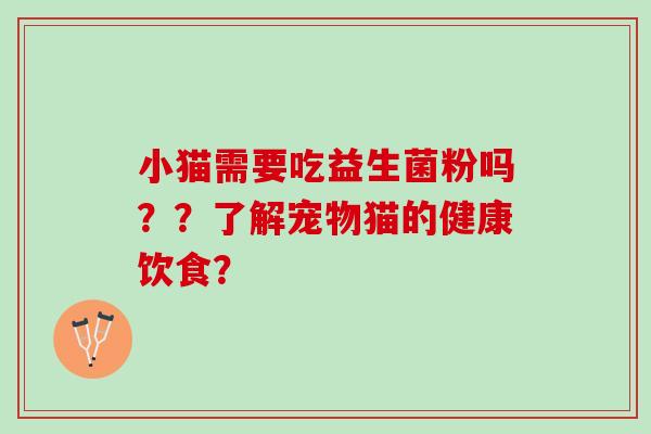 小猫需要吃益生菌粉吗？？了解宠物猫的健康饮食？