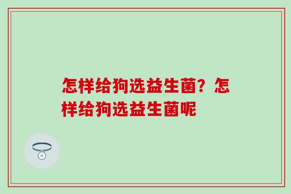 怎样给狗选益生菌？怎样给狗选益生菌呢