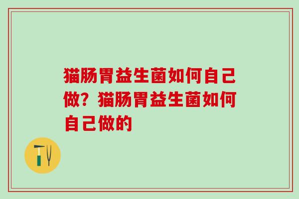 猫肠胃益生菌如何自己做？猫肠胃益生菌如何自己做的