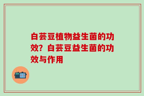 白芸豆植物益生菌的功效？白芸豆益生菌的功效与作用