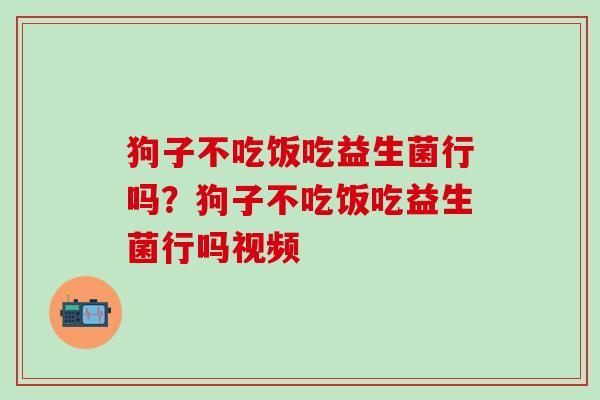 狗子不吃饭吃益生菌行吗？狗子不吃饭吃益生菌行吗视频