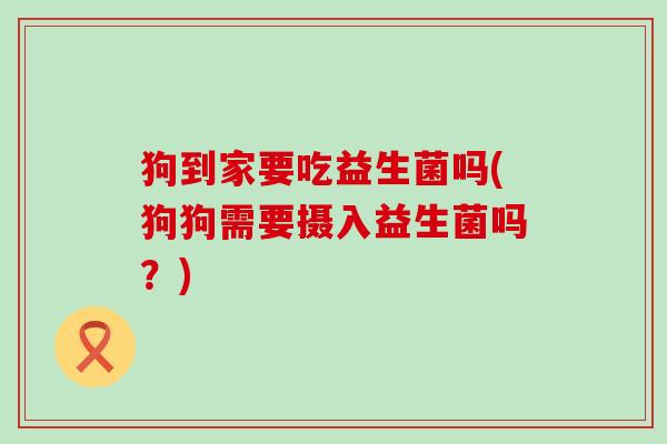 狗到家要吃益生菌吗(狗狗需要摄入益生菌吗？)