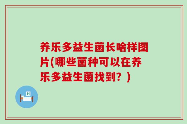 养乐多益生菌长啥样图片(哪些菌种可以在养乐多益生菌找到？)