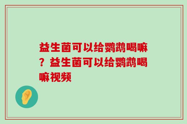 益生菌可以给鹦鹉喝嘛？益生菌可以给鹦鹉喝嘛视频