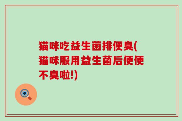 猫咪吃益生菌排便臭(猫咪服用益生菌后便便不臭啦!)