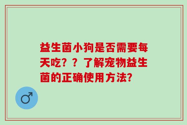 益生菌小狗是否需要每天吃？？了解宠物益生菌的正确使用方法？