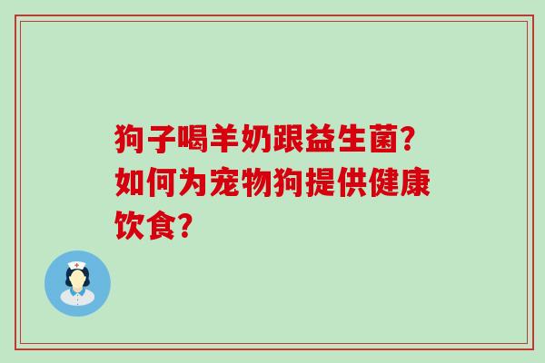 狗子喝羊奶跟益生菌？如何为宠物狗提供健康饮食？