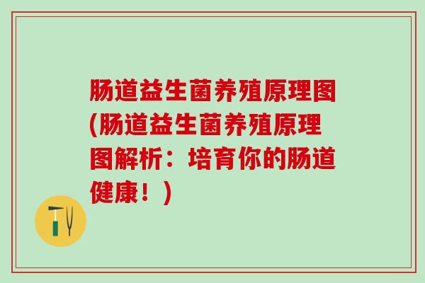 肠道益生菌养殖原理图(肠道益生菌养殖原理图解析：培育你的肠道健康！)