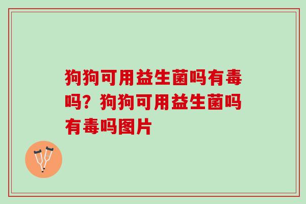 狗狗可用益生菌吗有毒吗？狗狗可用益生菌吗有毒吗图片
