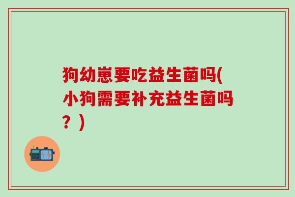 狗幼崽要吃益生菌吗(小狗需要补充益生菌吗？)